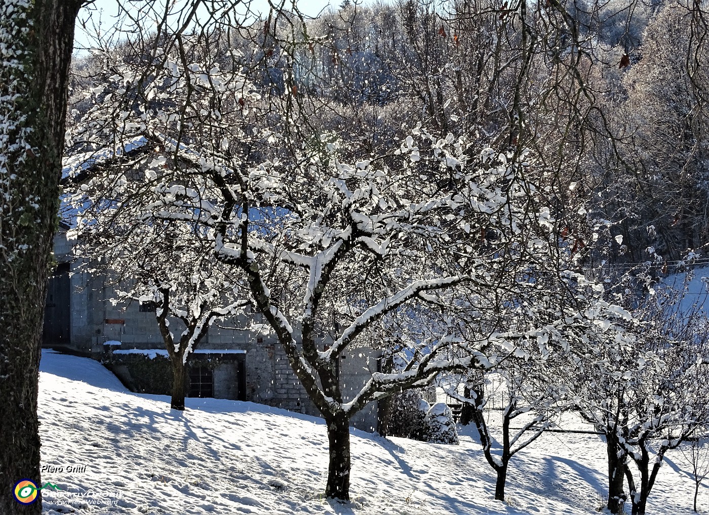 16 La neve si sta sciogliendo al sole.JPG